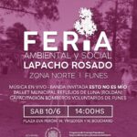 Vuelve la Feria Ambiental y Social «Lapacho Rosado»
