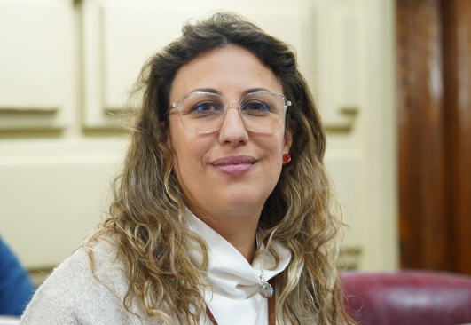 Bolsitas de nicotina en Santa Fe: presentan un proyecto para regular su venta, publicidad y acceso de menores Captura de pantalla 2026-03-05 171333