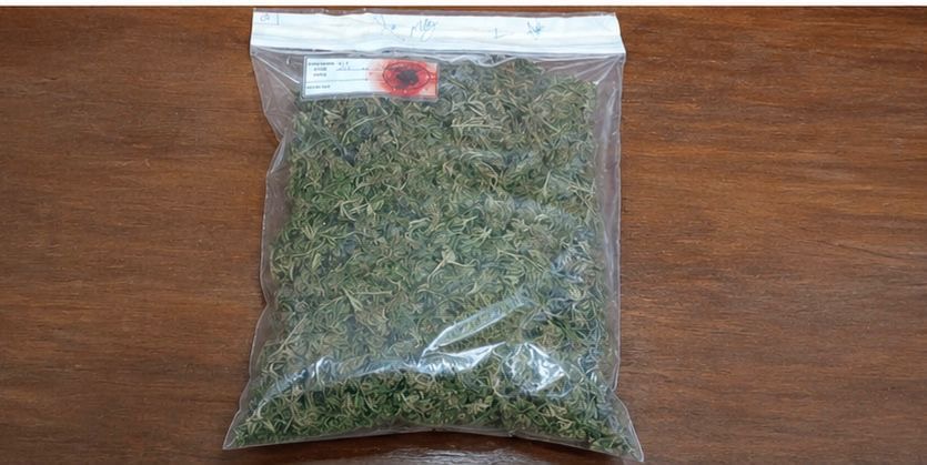 Allanamientos amenazas escuelas marihuana secuestro