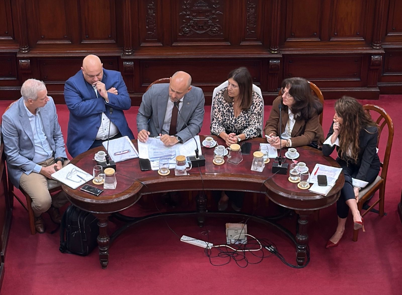Bermúdez hidrovía Santa Fe reunión comisiones legisladores
