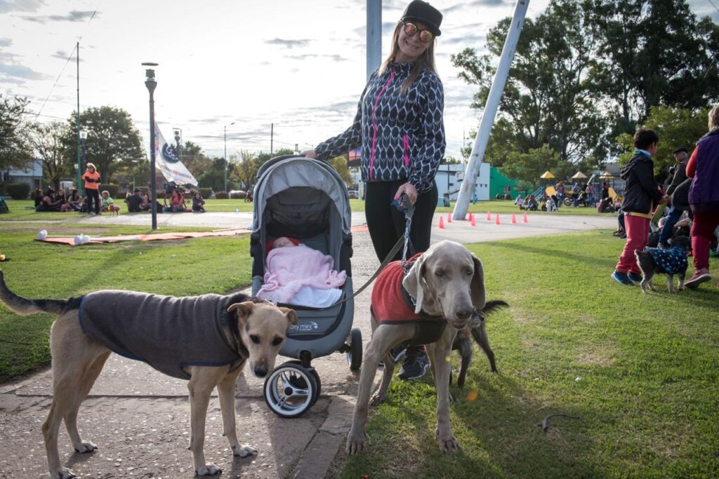 Jornada bienestar animal en Granadero Baigorria organizada por la Municipalidad