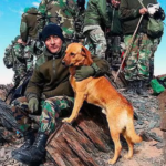 Tom perro héroe Malvinas - perro táctico en las trincheras de las Islas Malvinas