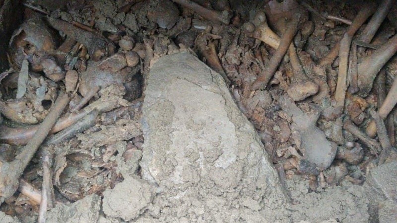 Fotos: encontró restos humanos en su jardín mientras hacía reformas en su casa