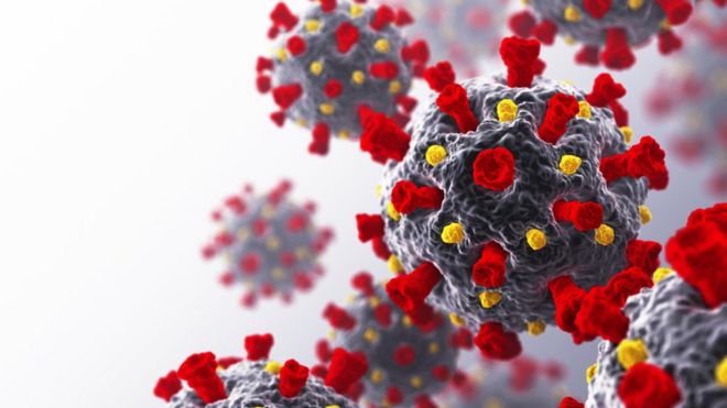 Tratamiento del covid-19: El punto débil del coronavirus que encontró una científica mexicana