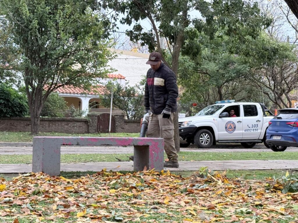Protección Civil Funes asistiendo tras el temporal con caída de árboles