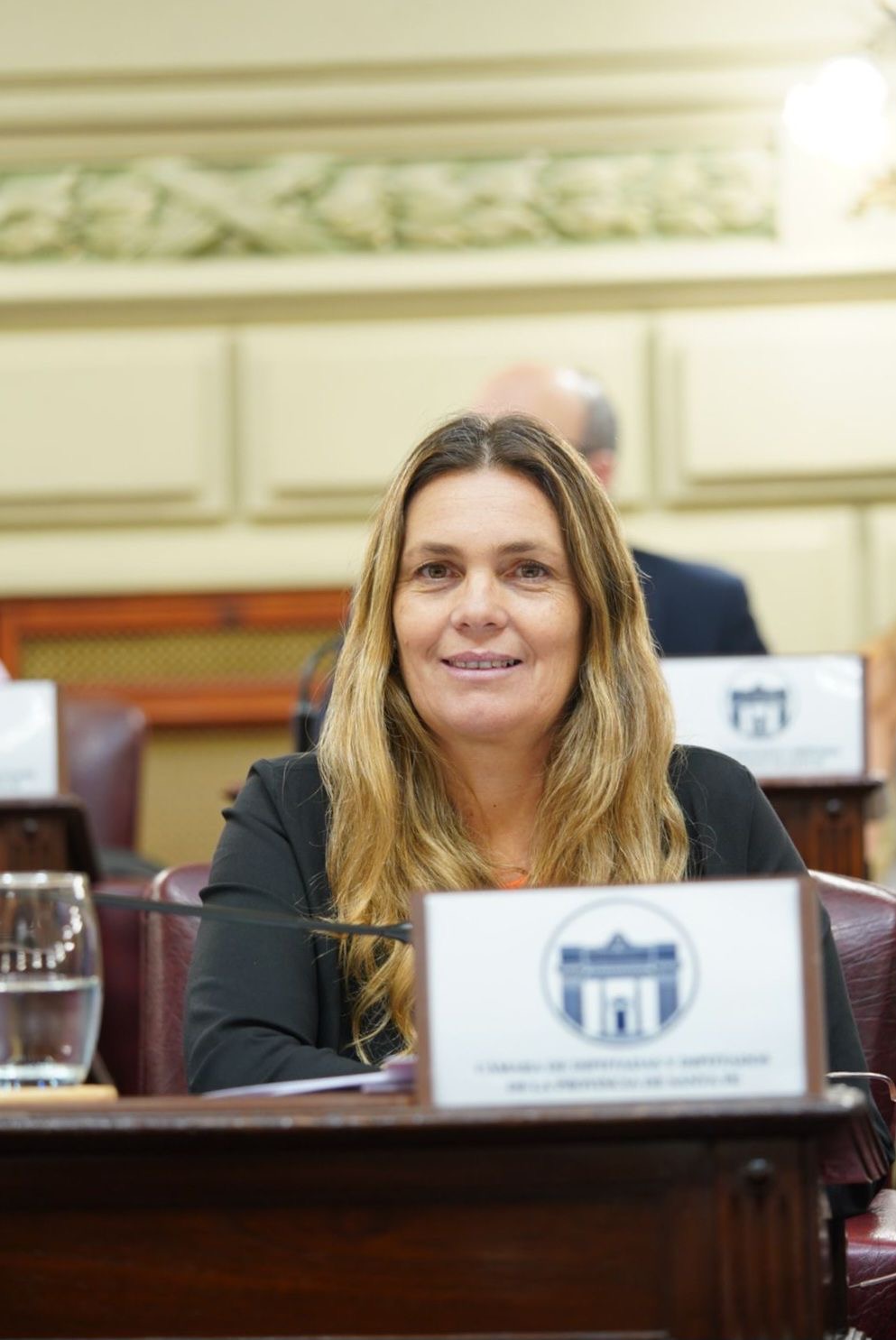 Silvana Di Stefano en la Cámara de Diputados de Santa Fe destacando el avance del Camino de la Cremería