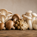 Curso de cultivo de hongos en Roldán: La Orilla abre inscripción para el sábado 23 de mayo curso-fungi-la-orilla-roldan