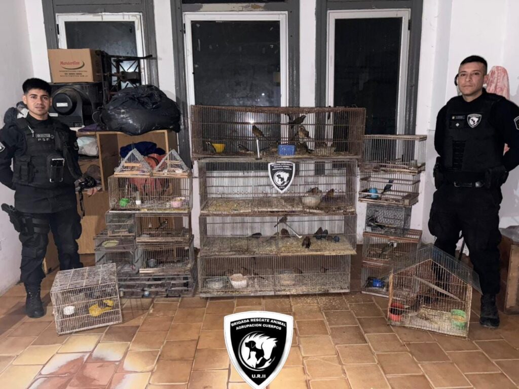 Decomiso de aves en Pérez: la Brigada Ecológica de la URII rescató 53 ejemplares silvestres