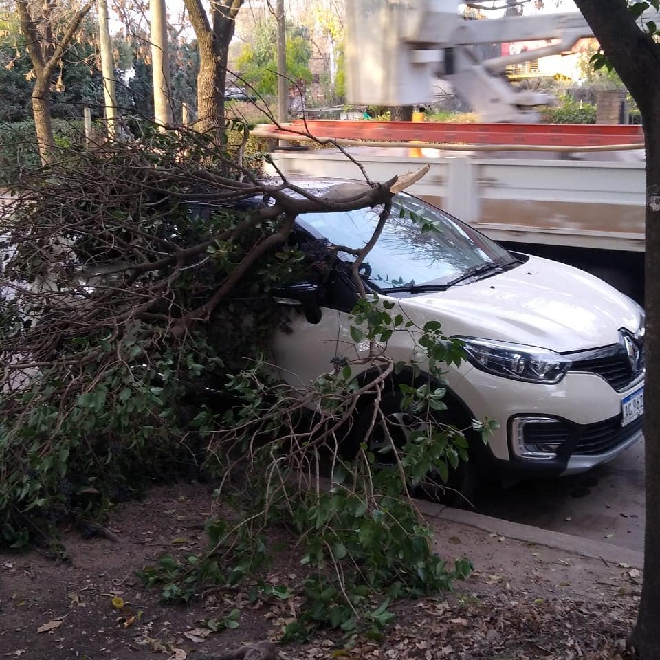 #Funes: Cae una rama sobre un auto provocando daños materiales