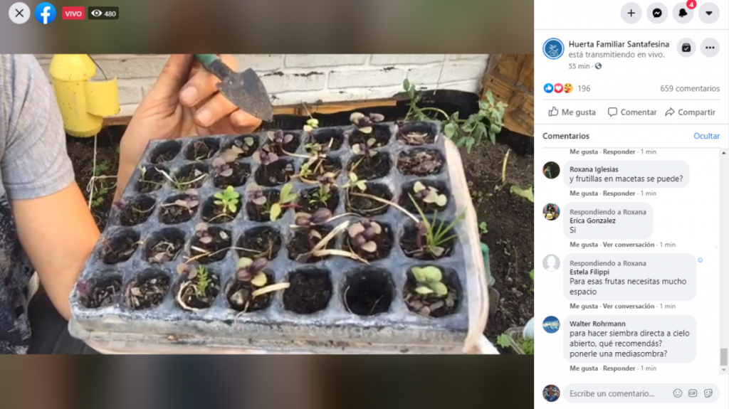 La provincia realizó un curso online sobre huerta familiar en el que participaron más de 500 persona