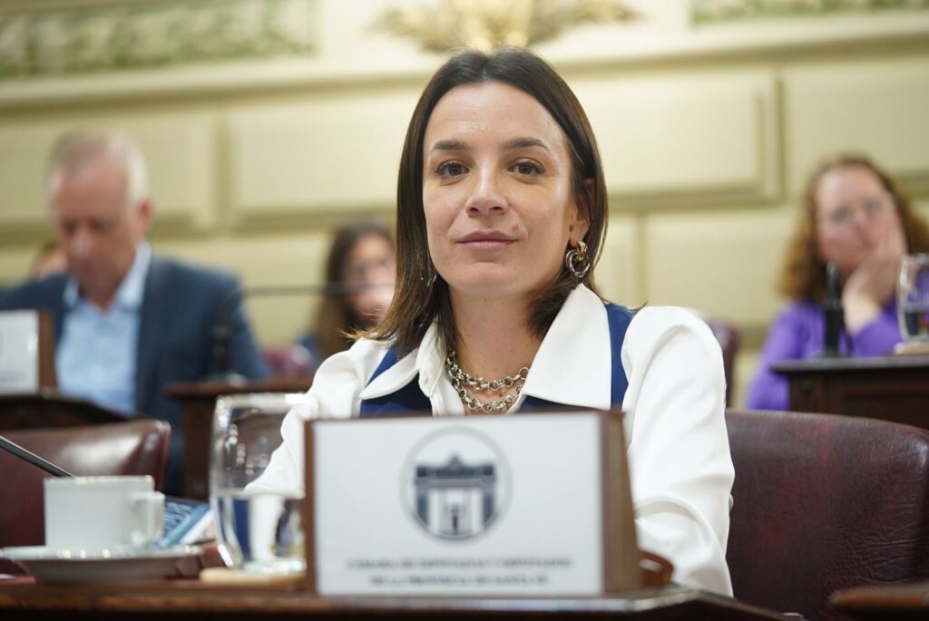 Lucila De Ponti en la Camara de Diputados de Santa Fe, donde se debatio la medicion de la informalidad laboral