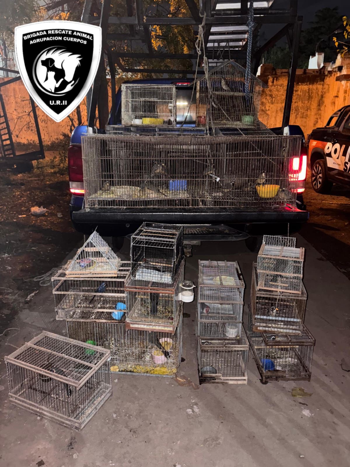 Aves rescatadas y jaulas trasladadas tras el decomiso aves Pérez de la URII