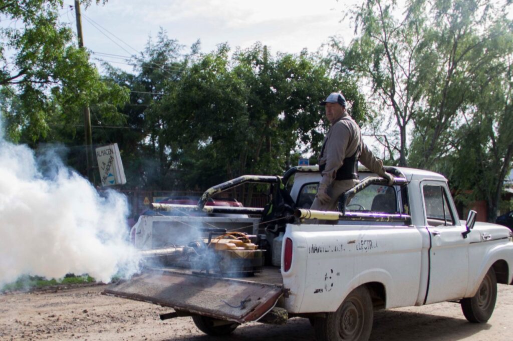 SE INTENSIFICAN LAS FUMIGACIONES PARA CONTROL DE MOSQUITOS