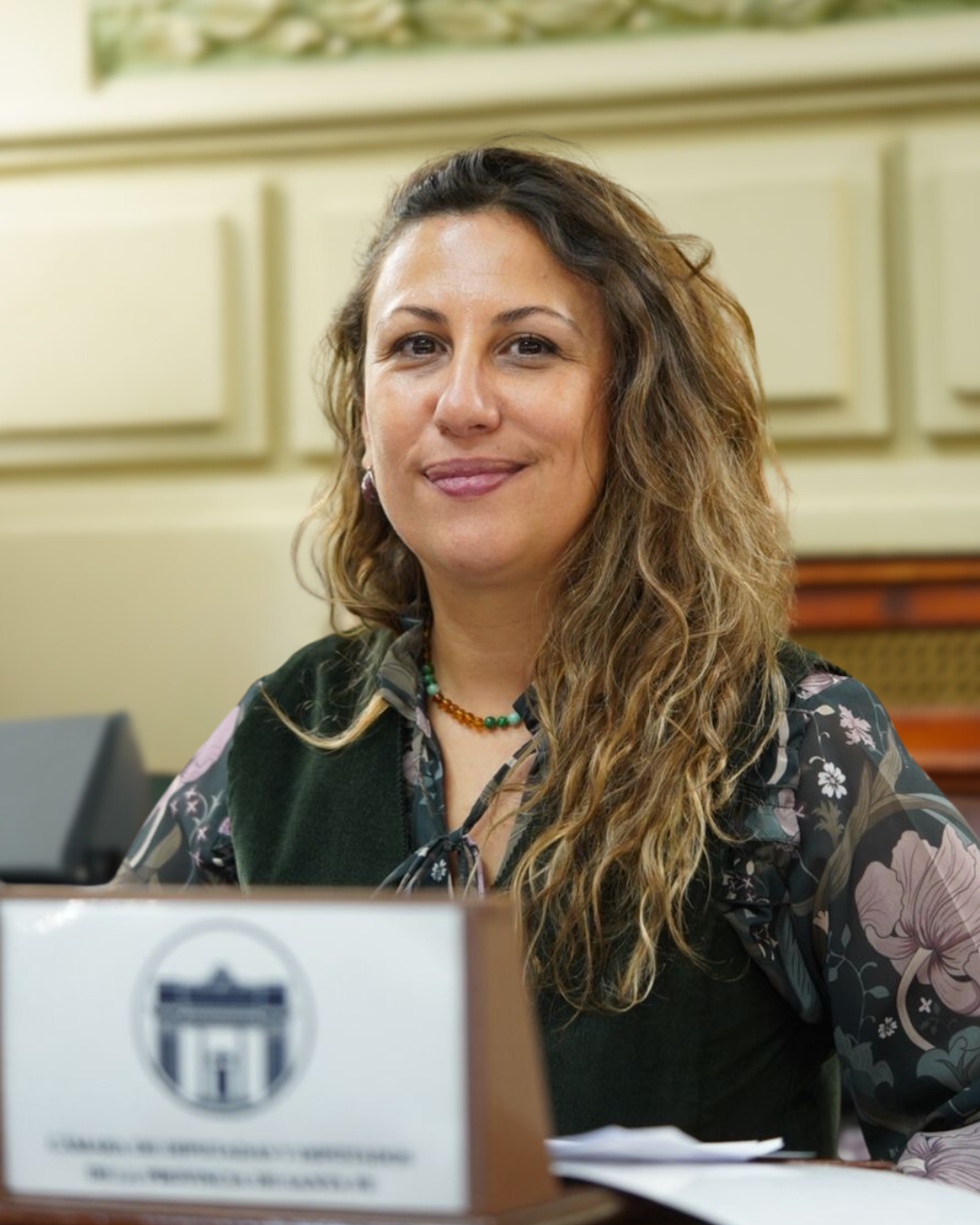 Varinia Drisun, diputada provincial y presidenta de la Comisión de Salud
