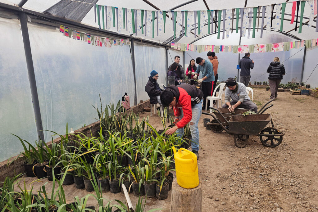 Vivero Inclusivo Hojitas Verdes San Lorenzo: jóvenes trabajando con plantines y nuevas herramientas
