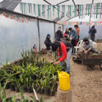 "Hojitas Verdes": el Vivero Inclusivo de San Lorenzo recibió nuevas herramientas Vivero Inclusivo Hojitas Verdes San Lorenzo: jóvenes trabajando con plantines y nuevas herramientas