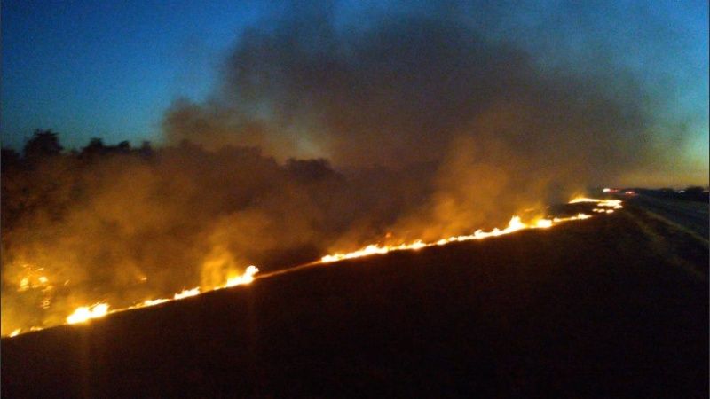 Ya son 90.000 las hectáreas incendiadas en Entre Ríos, y se declaró Emergencia Ambiental