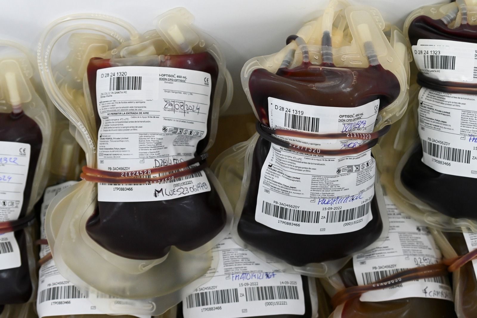 Bolsas de sangre donada etiquetadas en un servicio de Hemoterapia de Santa Fe