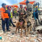 Orgullo argentino: el rescate del perro Bart en Venezuela y el envío de nuevos refuerzos Rescatistas argentinos en Venezuela junto a un perro rescatista entre los escombros
