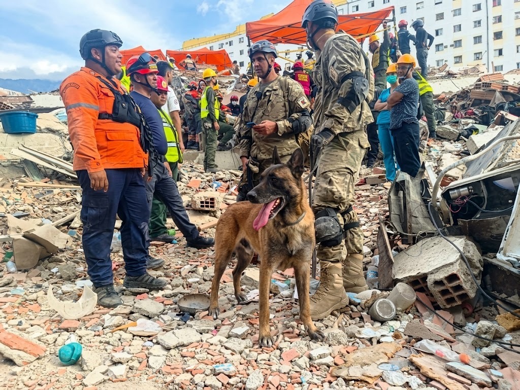 Rescatistas argentinos en Venezuela junto a un perro rescatista entre los escombros