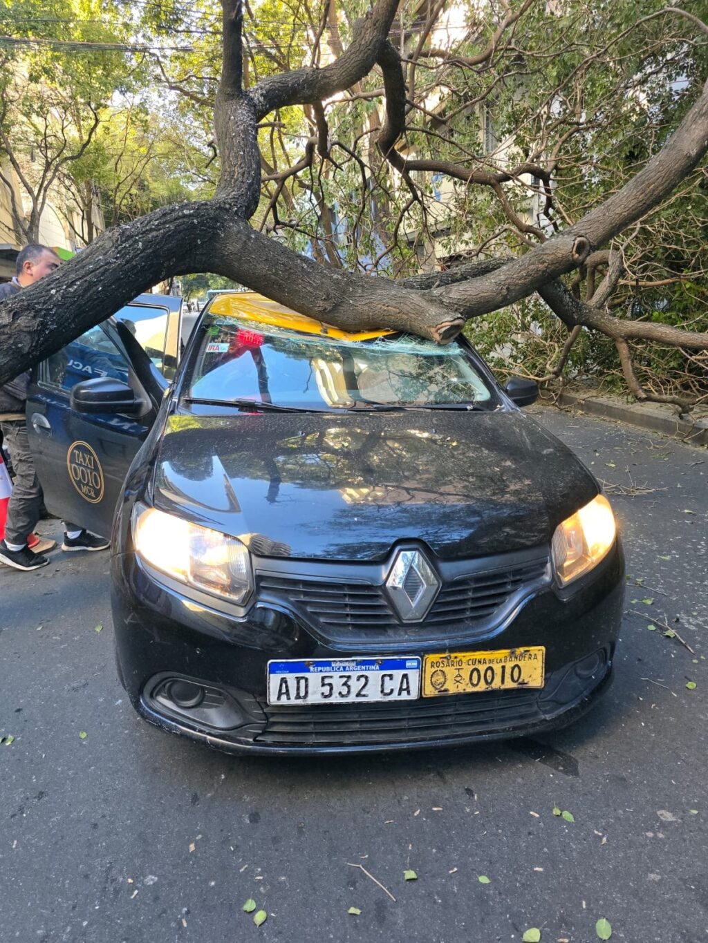 Un árbol caído sobre un taxi en calle Zeballos, Rosario