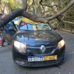 Cayó un árbol sobre un taxi en Rosario y el conductor resultó herido