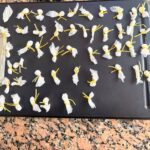 Narcomenudeo en Rosario: secuestraron 48 envoltorios con presunta droga y aprehendieron a un hombre Decenas de envoltorios blancos atados con hilo amarillo, ordenados sobre una tabla, tras el secuestro policial