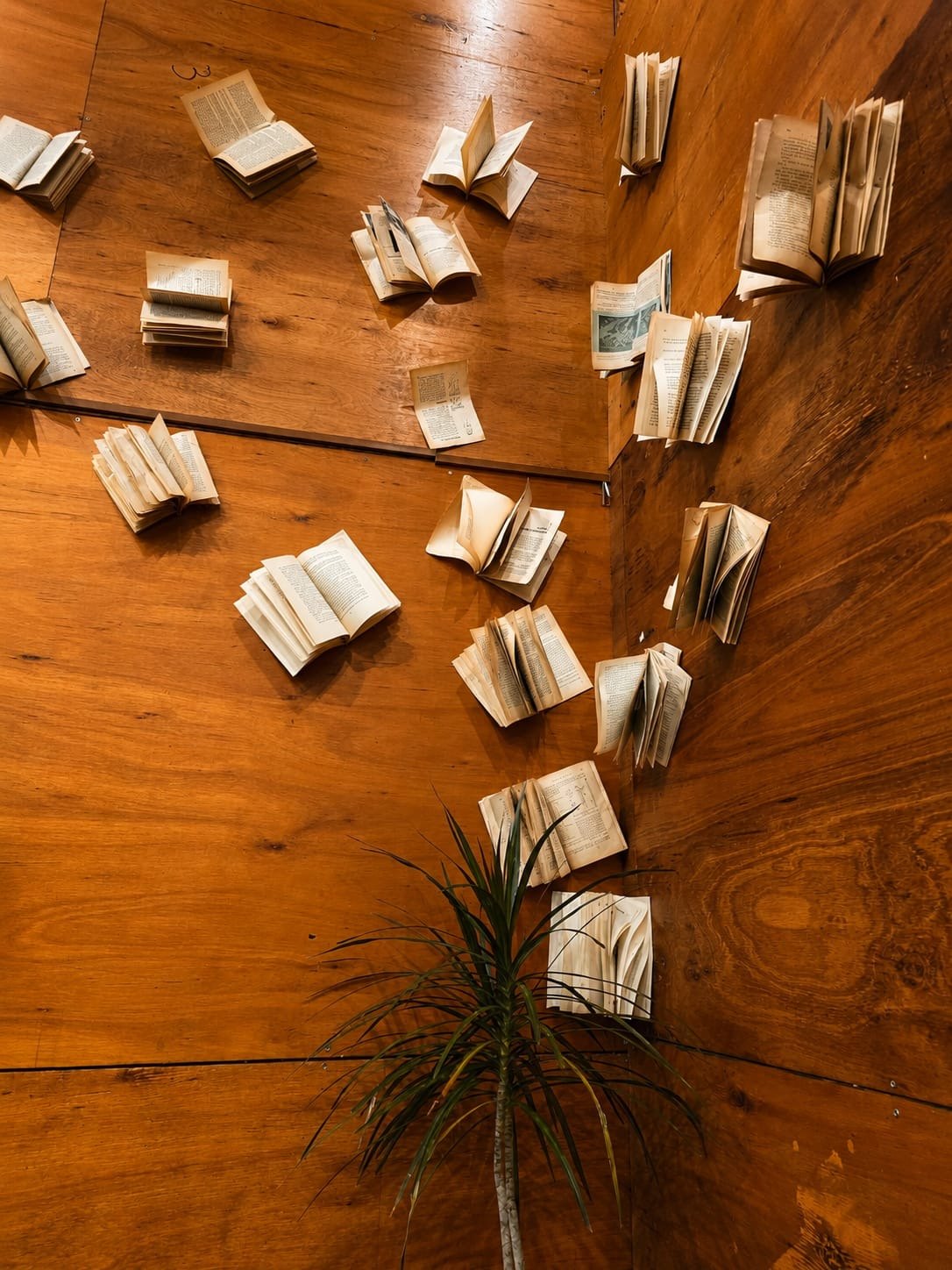 Libros abiertos dispuestos como intervención artística en las paredes de madera del Galpón Municipal de Funes