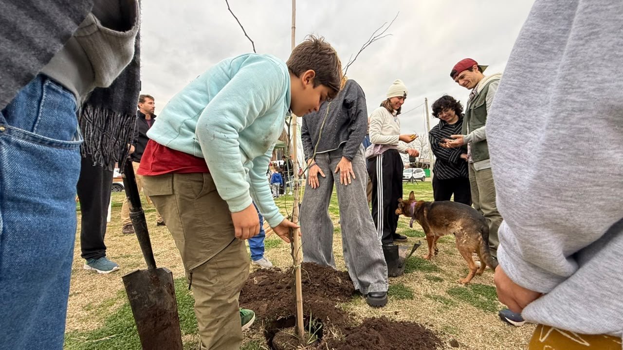 Un niño ayuda a plantar un árbol nativo en el Playón Tierra de Sueños 2