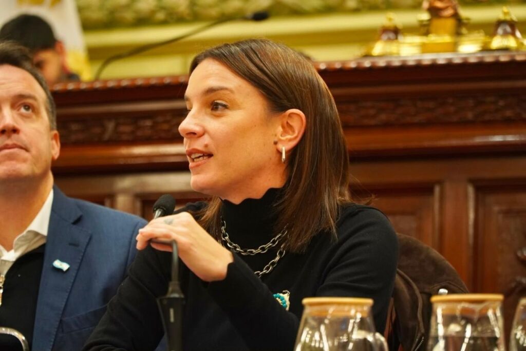 La diputada provincial Lucila De Ponti durante una sesión