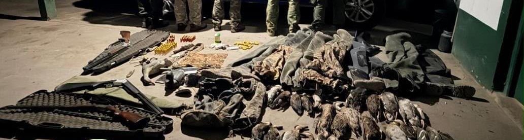 Patos silvestres, escopetas y equipamiento de caza secuestrados en el operativo de Fortín Olmos